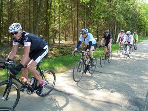 RTF Celle Mirco 76